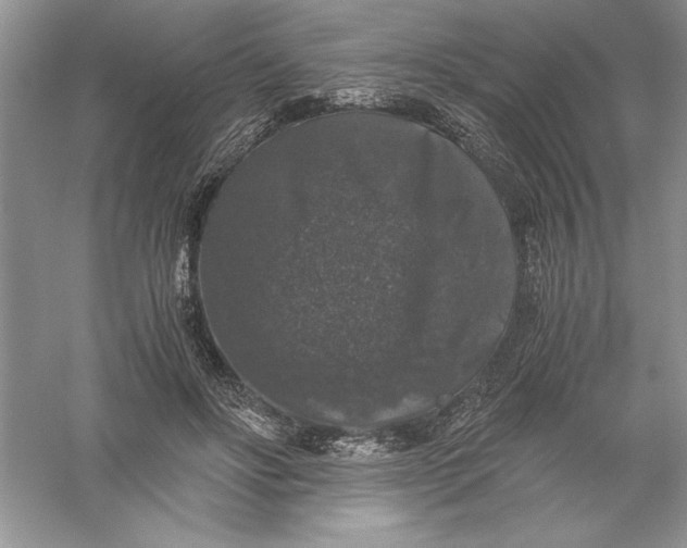 X0000055980502200509091957