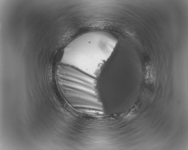 X0000055980504200509091957