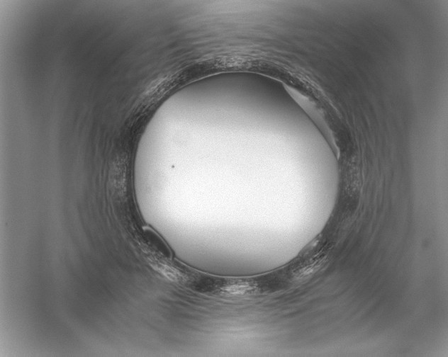 X0000055980505200509091957