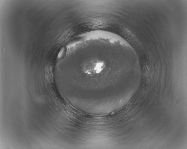 X0000055980506200509091957