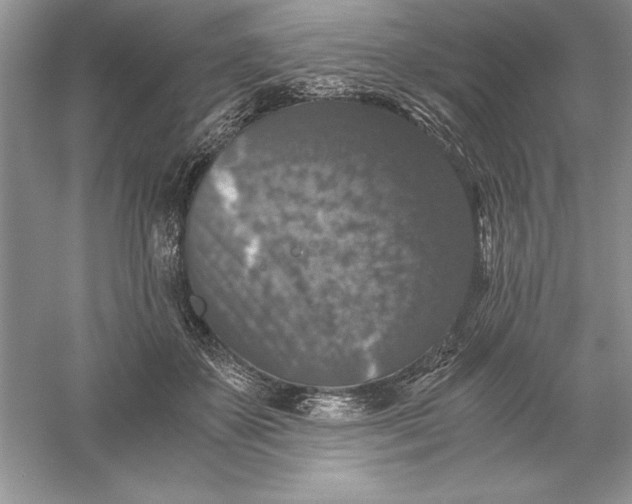 X0000055980507200509091957