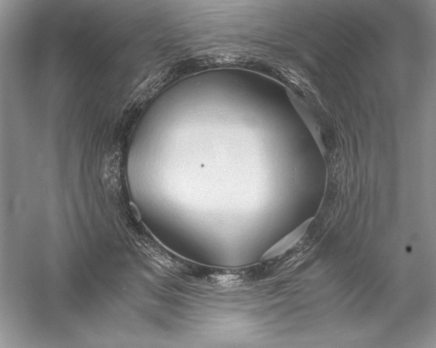 X0000055980509200509091957