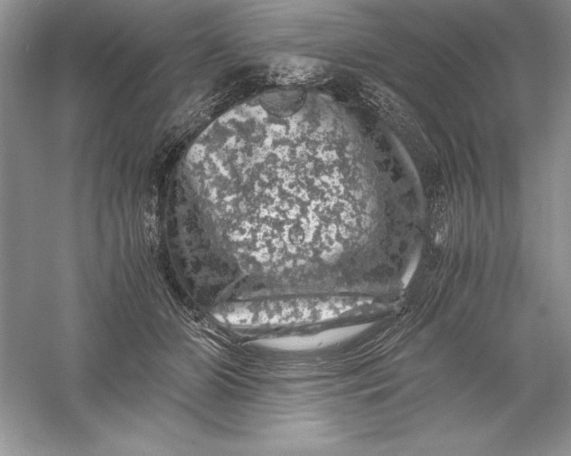 X0000055980510200509091957