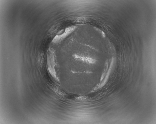 X0000055980511200509091957