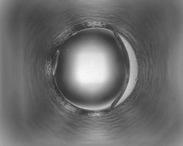 X0000055980513200509091957