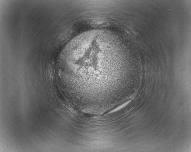 X0000055980515200509091956