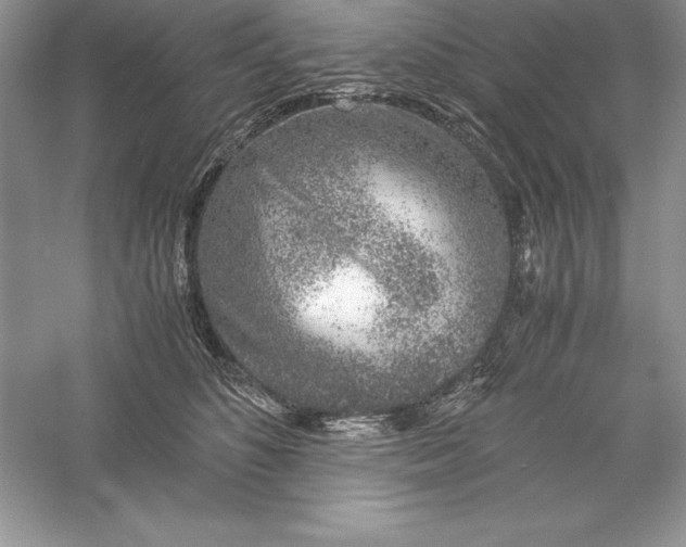 X0000055980516200509091956