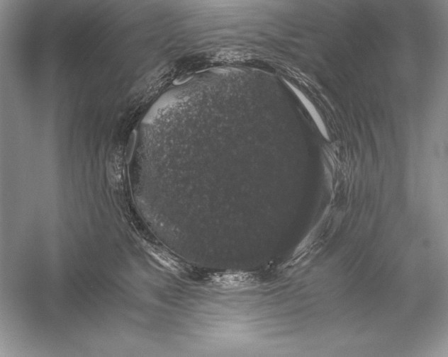 X0000055980517200509091956