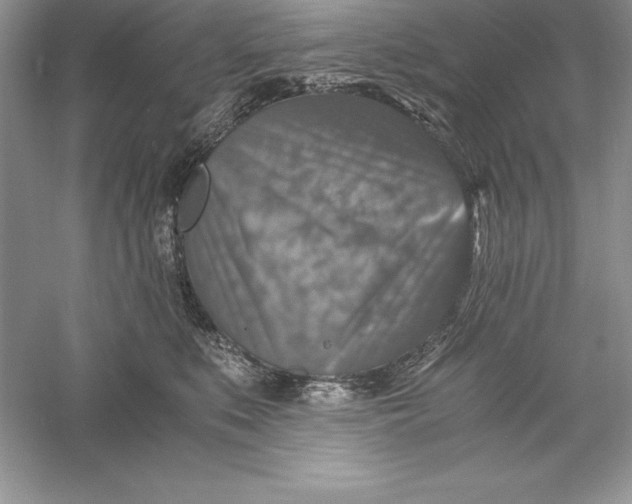 X0000055980519200509091956