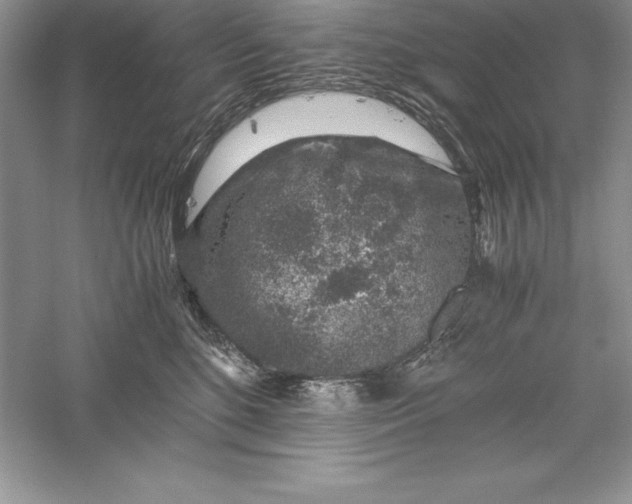 X0000055980520200509091956