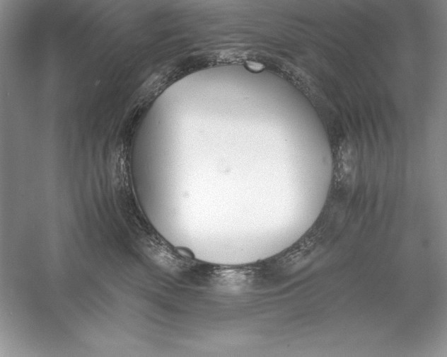 X0000055980522200509091956