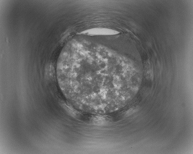 X0000055980523200509091956