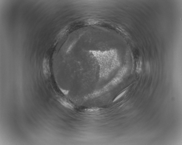 X0000055980524200509091956