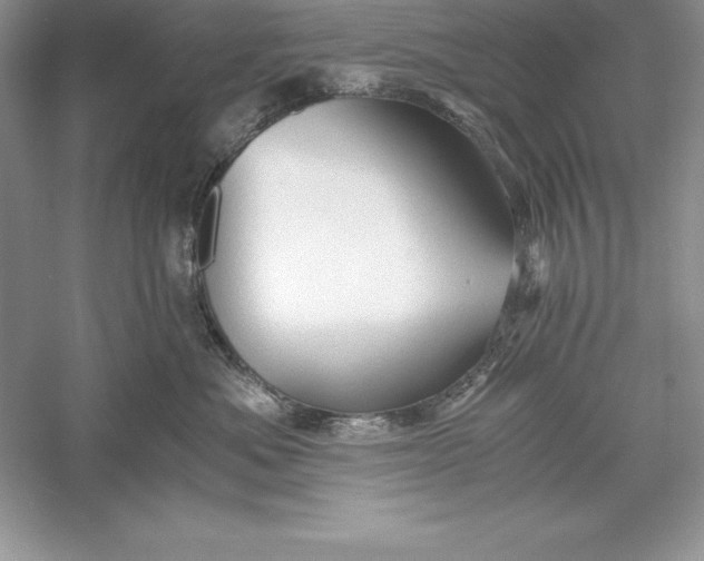 X0000055980525200509091956