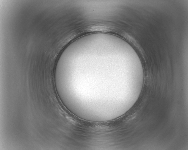 X0000055980529200509091955