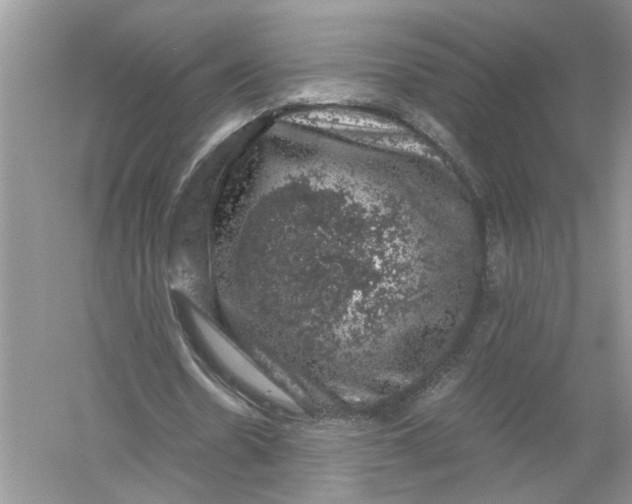 X0000055980530200509091955