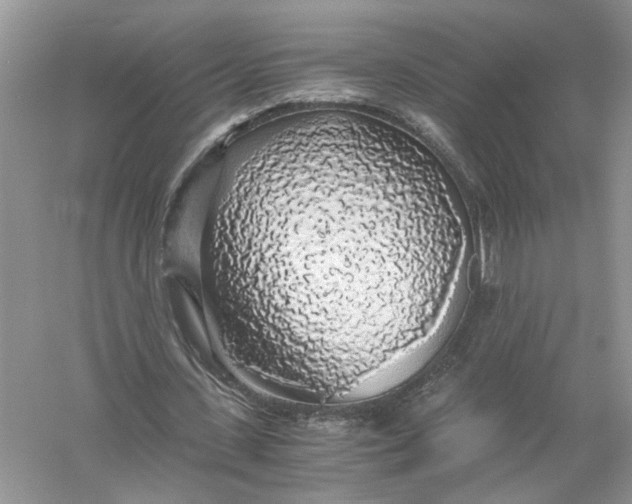 X0000055980531200509091955