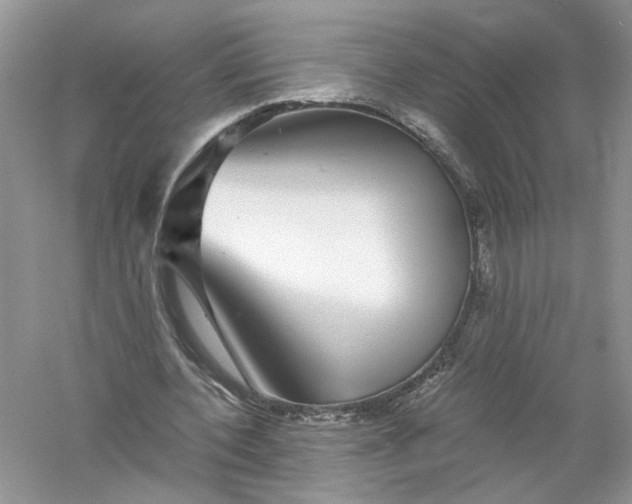 X0000055980532200509091955