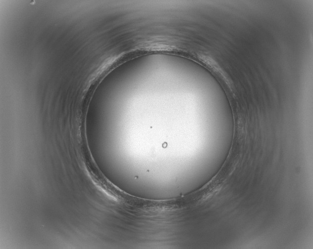 X0000055980533200509091956