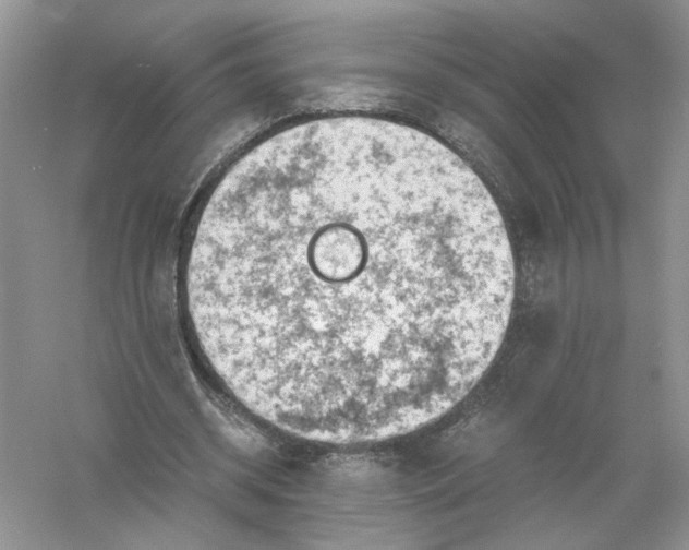 X0000055980534200509091956