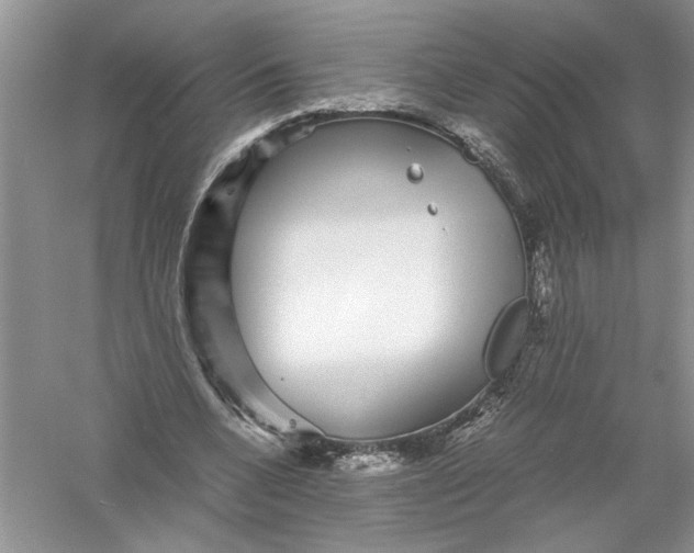 X0000055980536200509091956