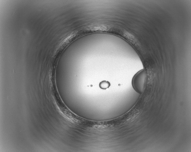 X0000055980538200509091956