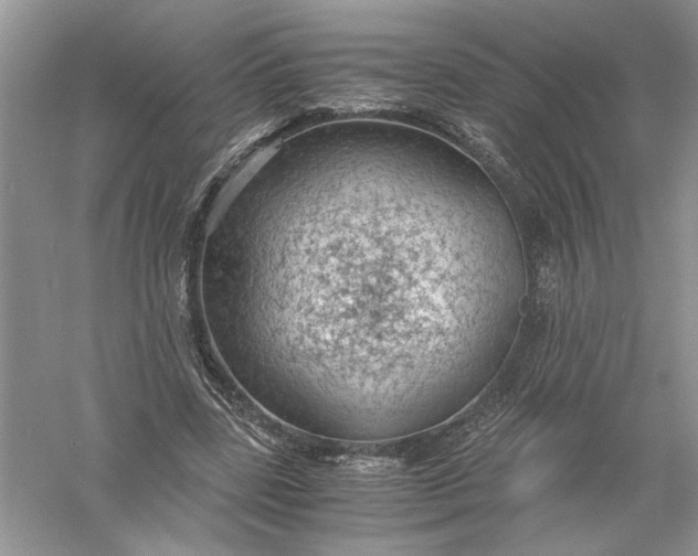 X0000055980539200509091956