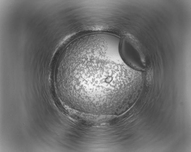 X0000055980540200509091956