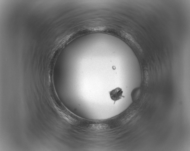 X0000055980541200509091956