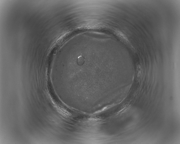 X0000055980542200509091956