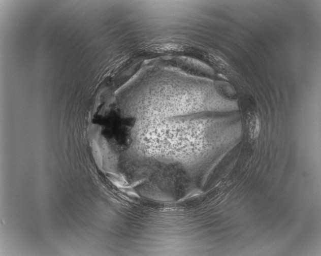 X0000055980546200509091956