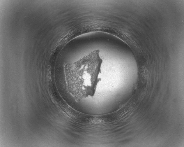 X0000055980547200509091956