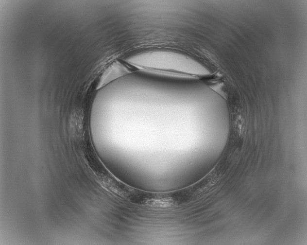 X0000055980548200509091956