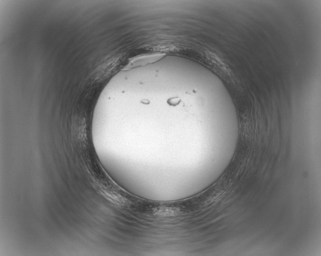 X0000055980549200509091956