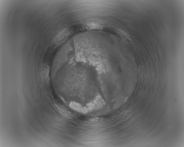 X0000055980550200509091956