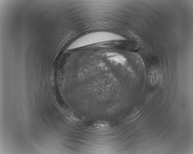 X0000055980552200509091956