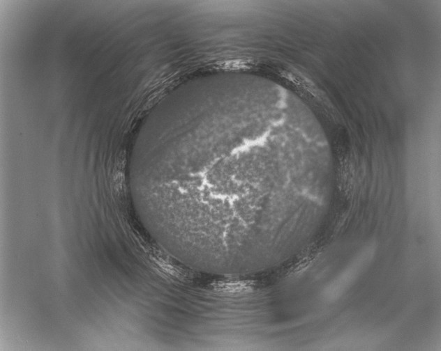 X0000055980553200509091956