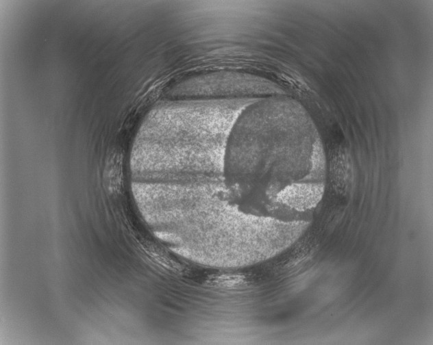 X0000055980554200509091956