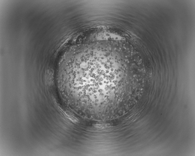 X0000055980556200509091956