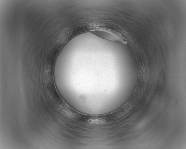 X0000055980557200509091956