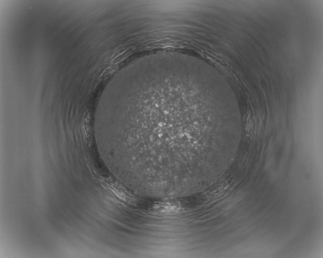 X0000055980559200509091956