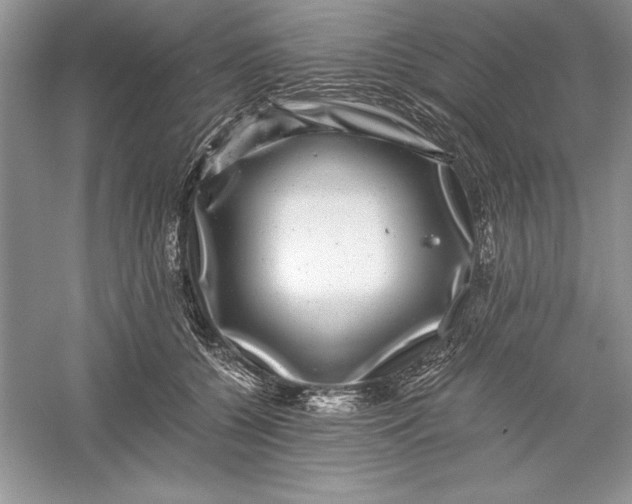 X0000055980560200509091956