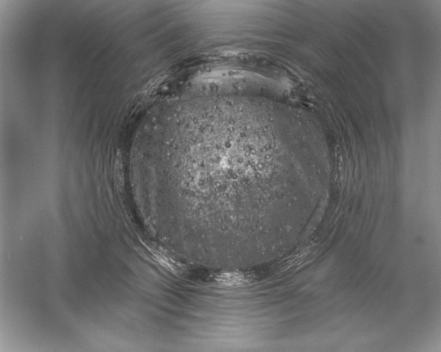 X0000055980562200509091956