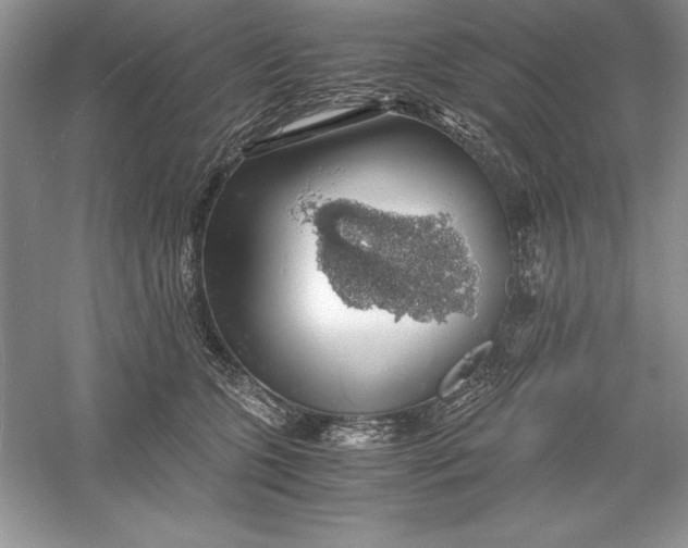 X0000055980563200509091956