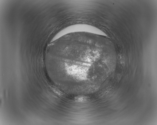 X0000055980564200509091956