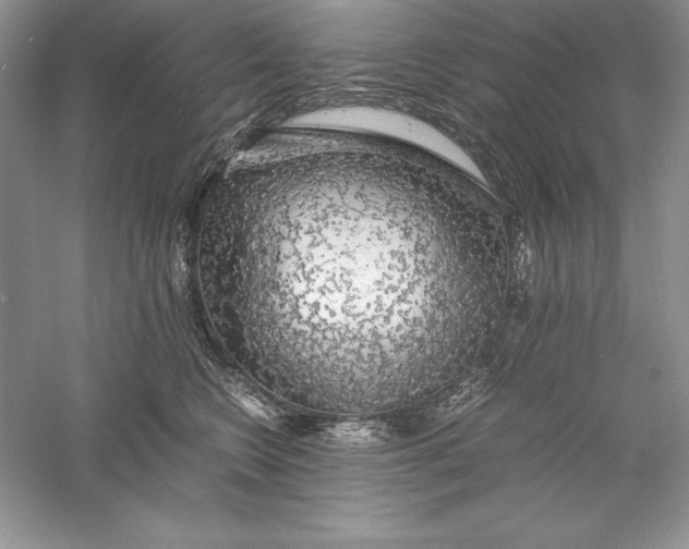 X0000055980566200509091956