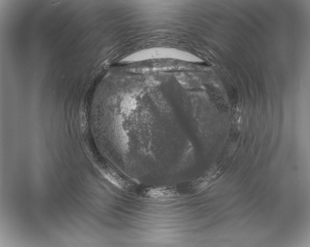 X0000055980568200509091956