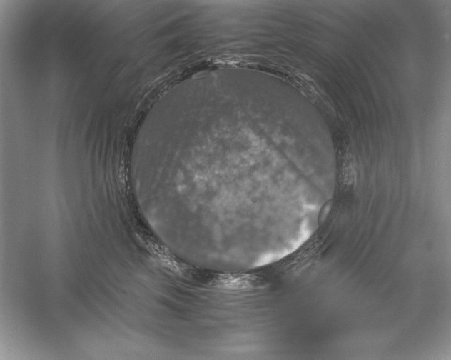 X0000055980569200509091956