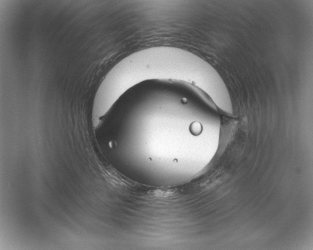 X0000055980570200509091956