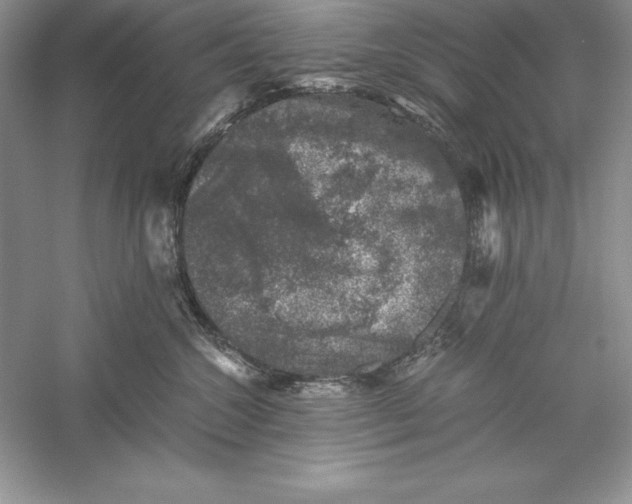 X0000055980572200509091956